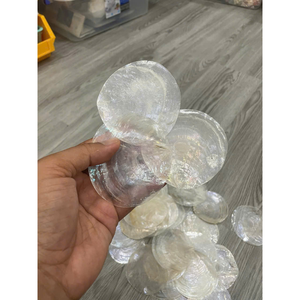 Cortinas decorativas con cuentas de Concha: ideales para decoración de escenario de boda, para colgar en interiores y exteriores. - Product Image 6