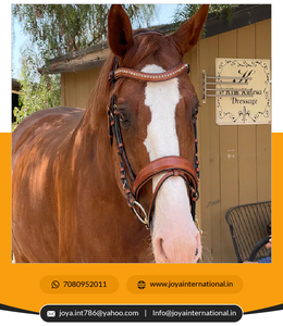 Nouveau design, vente en gros de produits pour chevaux, bride à mordiller en cuir du fabricant indien pliante - Product Image 6