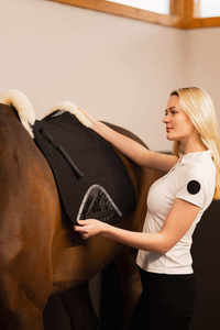 Dressage Bordure noire Numnah - Product Image 2