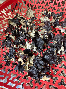 Champignons noirs séchés de qualité supérieure offrent une excellente expansion lorsqu'ils sont trempés et apportent un goût distinctif à vos recettes 99 GD - Product Image 5