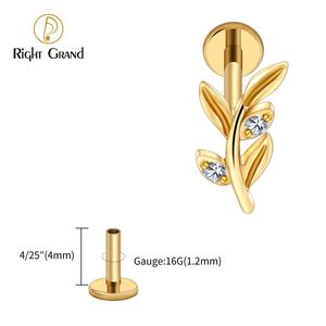 Orecchini a foglia Zirconia Pvd gioielli <span class=keywords><strong>Piercing</strong></span> da <span class=keywords><strong>donna</strong></span> ASTM F136 orecchini alla moda placcati oro orecchio Tragus Flat cartilagini Tragus - Product Image 4