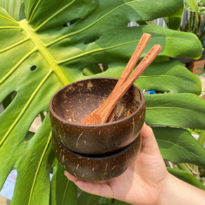 ชามกะลามะพร้าวพร้อมช้อนไม้ชุดช้อนไม้แบบใช้แล้วทิ้งสำหรับงานปาร์ตี้ผลิตภัณฑ์ที่ใช้ซ้ำได้เป็นมิตรกับสิ่งแวดล้อม - Product Image 2