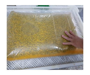 เยื่อเสาวรสแช่แข็งแบบมีคุณภาพสำหรับผู้ซื้อจากโรงงานผลิตส่งเมล็ดหรือน้ำซุปข้นไร้เมล็ดแช่แข็งจากเวียดนาม - Product Image 4