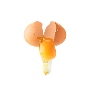 ผลิตภัณฑ์ไข่แดงคุณภาพสูง/บริสุทธิ์สำหรับการทำผลิตภัณฑ์เพื่อการดูแลสุขภาพ - Product Image 5