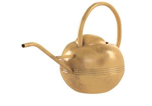 Regadera de Metal de hierro de la mejor calidad, nuevo diseño, regadera de forma personalizada para uso diario en el jardín del hogar - Product Image 6