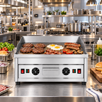 Commerciële elektrische bakplaat 600 mm vlakke grillplaat 5000 W dubbele temperatuurregeling 10 mm dikke plaat roestvrijstalen aanrechtblad 220 V
