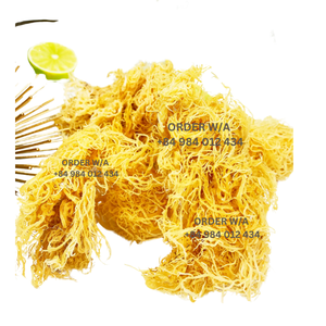 มอสทะเลสีทองระดับพรีเมี่ยมจากป่าที่ผลิตในราคาไม่แพงจากเวียดนาม - Product Image 3