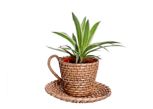 Top produit fait à la main naturel canne tasse et soucoupe planteur pour la maison, dessus de table, restaurants au Vietnam - Product Image 3