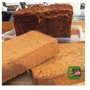 บล็อกใยมะพร้าวคุณภาพคงที่จากเวียดนาม วัสดุปลูกจากใยมะพร้าวสำหรับใช้ในฟาร์มเชิงพาณิชย์และสวน - Product Image 5