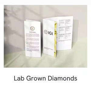 0.50 Ct E Couleur VVS1 Clarté Certifiée Haute Qualité Diamant Lâche Coupe Ovale Direct De L'Inde IGI Blanc CVD Certifié - Product Image 2