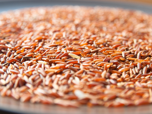 Arroz integral rojo Premium de alta calidad orgánico de Vietnam - Product Image 5