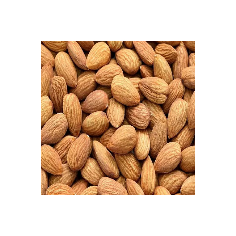 Wholesale Bulk Almonds Bulk Price Delicious Snack Badam Nut Food Almond