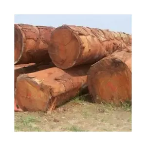 ไม้บันทึก Iroko/ ชิงชัน/doussie/Iroko ไม้เนื้อแข็ง - Product Image 3