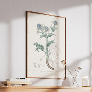 Blue Thistle Botanical Wall Art Canvas Print Vintage Herbal Plant Illustration Modern Wood <b>Frame</b> Christmas Decor - Product Image 4