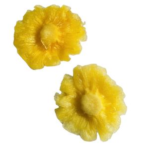 สับปะรดอบแห้งที่มาจากเวียดนามที่มีคุณภาพสูงสุดโดยผู้ผลิตที่ดีที่สุดสำหรับการขายส่ง - Product Image 3