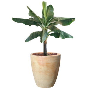 Macetas y jardineras de terracota de arcilla de alta calidad para decoración del hogar y jardín Cerámica para suministros de jardín Decoraciones para el hogar - Product Image 3