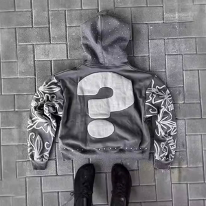 Sweat à capuche d'hiver doublé personnalisé Crop Puff Printing Heavyweight Anti-Shrink Plus Size Streetwear Hommes Femmes Hip 3D Embroidery Front - Product Image 3