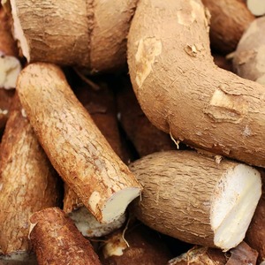 Yuca fresca de exportación a granel, yuca fresca con alto contenido de almidón 100% para el procesamiento industrial de alimentos y la distribución a gran escala - Product Image 5