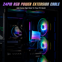 Câble d'extension d'alimentation pour ordinateur néon RGB