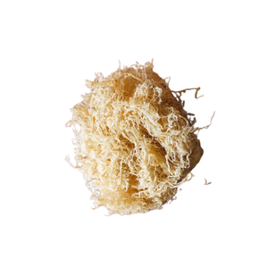 Mousse de mer Eucheuma Cottonii séchée de Makasar East avec une excellente qualité - Product Image 3