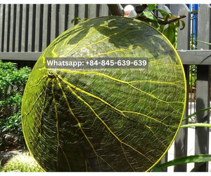 หมวกระบายอากาศและน้ำหนักเบาเหมาะสำหรับวันชายหาดและกิจกรรมกลางแจ้ง - Product Image 1