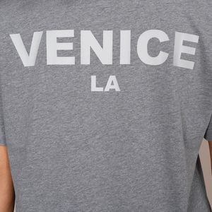 Weight <b>Plate</b> Sports T-Shirt Charcoal Organic Cotton Gym Tee Breathable Activewear Bodybuilding Fitness Shirt Basic Fit Golds Gym - Product Image 5