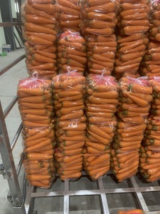 Zanahoria congelada al vacío al por mayor, verduras frescas IQF 100% naturales, nuevo cultivo OEM, zanahorias frescas congeladas de Vietnam - Product Image 5