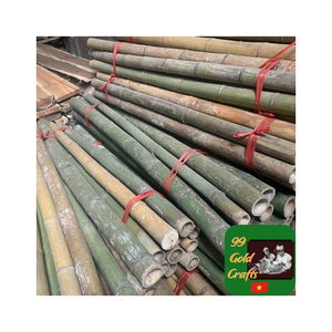 Piquets de bambou Tube de poteaux en bambou écologique Support durable pour les plantes en pot de haricots de tomate - Product Image 6