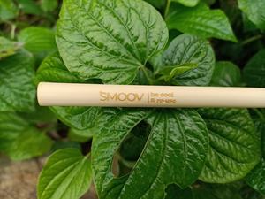 Wholesale Fancy color <b>bamboo</b> <b>straw</b> for home and kitchen dinnerware sets 100% <b>bamboo</b> material with best quality made in Vietnam - Product Image 2