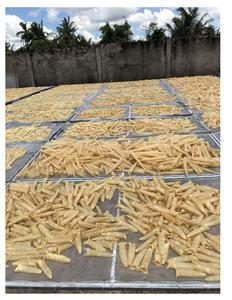 ขากรรไกรปลาแห้งแบบ99GD จากเวียดนาม - Product Image 5