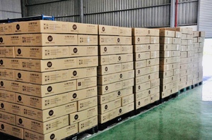 HANCOFFEE Mezcla Estándar Tostada 70% Robusta + 30% Arábica Granos de Café Enteros 500gr/bolsa - Marca Privada - Muestra Gratis - Product Image 6