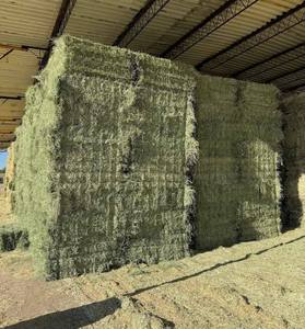 อัลฟัลฟา/ลูเซิร์นก้อนหญ้าแห้งและเม็ดสำหรับใช้ในม้าและวัวสดและสะอาด - Product Image 4