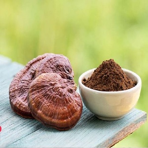<span class=keywords><strong>Ganoderma</strong></span> chiết xuất bột tại toàn bộ giá bán Ấn Độ xuất khẩu của <span class=keywords><strong>Ganoderma</strong></span> chiết xuất - Product Image 2