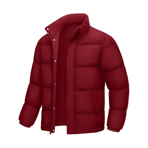 Men's Winter <b>Warm</b> Street Wear Puffer Jacket <b>Waterproof</b> Windproof Casual Insulated Stand Collar Zipper Closure Canvas Street - Product Image 1