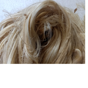 Las fibras de plátano naturales limpias y Peinadas ideales para aplicaciones textiles pueden estar disponibles en tamaños de corte - Product Image 1
