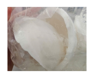 Nouvelle récolte de jeunes viandes de noix de coco congelées à la noix de coco Coupes de diverses formes, viande de noix de coco congelée IQF à partir de données 99 Gold - Product Image 4