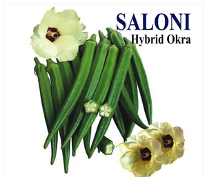 Semillas Híbridas SALONI F1 de Okra / Bhindi - Product Image 1
