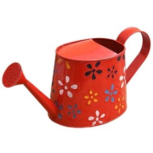 Accessoires de jardin au design élégant arrosoir pot d'eau arrosoir bidon en métal à la décoration de jardin - Product Image 1