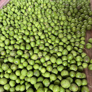 Dracontomelon congelé IQF exportation de fruits aigres tropicaux vietnamiens - Product Image 2