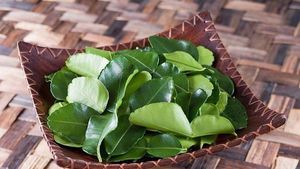 ใบมะกรูดแห้งจากธรรมชาติเวียดนามสำหรับชา - Product Image 5