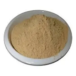 Coleus Forskohli Extract Pure Forskolin Extract Powder Coleus Extract 10%-98%