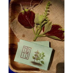 Gomme de haricot périlla Viet Delta 100% Bio perillasoap Soapberry Miel perilla ANGLE - Product Image 4