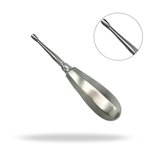 Élévateur dentaire chirurgical à pointe d'aile de 5,1 mm, petit modèle 503, pour extraction dentaire et élévation radiculaire - Product Image 1