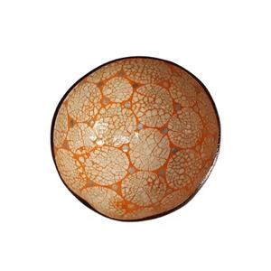 ราคาขายส่ง ชามมะพร้าวธรรมชาติคุณภาพสูง เป็นมิตรกับสิ่งแวดล้อม ทำด้วยมือ ขัดเงา ดีไซน์เรียบง่าย ย่อยสลายได้ สีสันสดใส สำหรับใส่อาหาร - Product Image 1