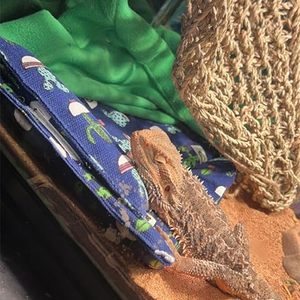 Seagrass fibre paille lézard hamac Vietnam lits pour animaux de compagnie sommeil frotter perte de peau anole reptile Blue Lotus nouveau produit 2024 - Product Image 3