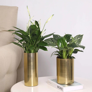 Juego de 2 floreros de metal con acabado dorado, macetas cilíndricas para mesa para el hogar, sala de estar, decoración de oficina - Product Image 1