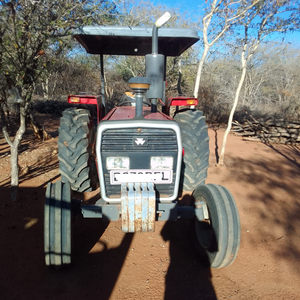 Tractores Massey Ferguson usados perfectamente limpios, Tractor compacto MF 360 a la venta, disponible ahora en stock, listo para enviar - Product Image 2