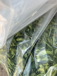 ใบมะกรูดอบแห้ง100% ใบมะนาวธรรมชาติจากเวียดนาม - Product Image 6