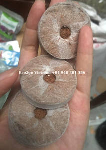 Tourbe de Coco pressée pour les plantes de taille 35mm et 42mm Pellets de tourbe de Coco pour semis au meilleur prix au Vietnam - Product Image 3
