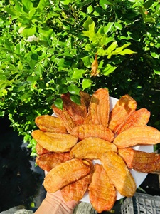 กล้วยสยามอบแห้งแบบกด รสขิงงา 9.2 ออนซ์ 500 กรัม  กล้วยอบกรอบรสขิงงา  ผู้ผลิตฉลากส่วนตัวจากเวียดนาม - Product Image 3